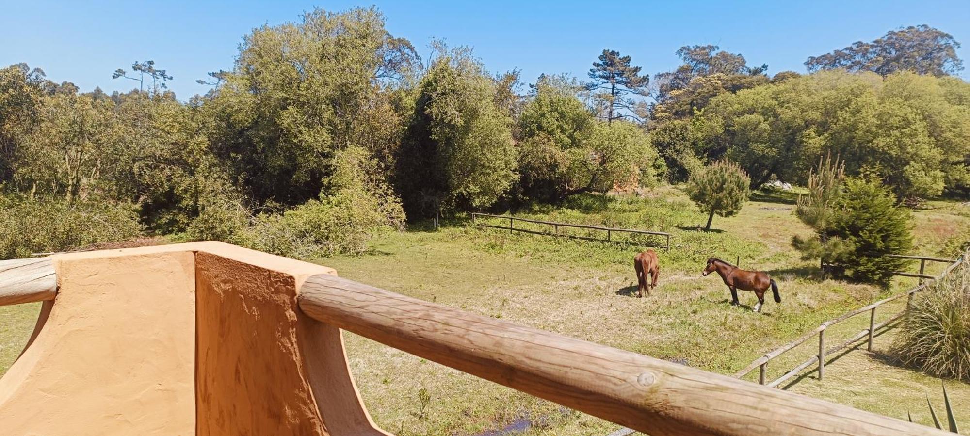 Casas Da Barra Βίλα Praia de Mira Δωμάτιο φωτογραφία